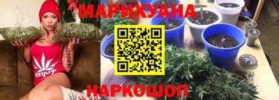 spice Балашиха