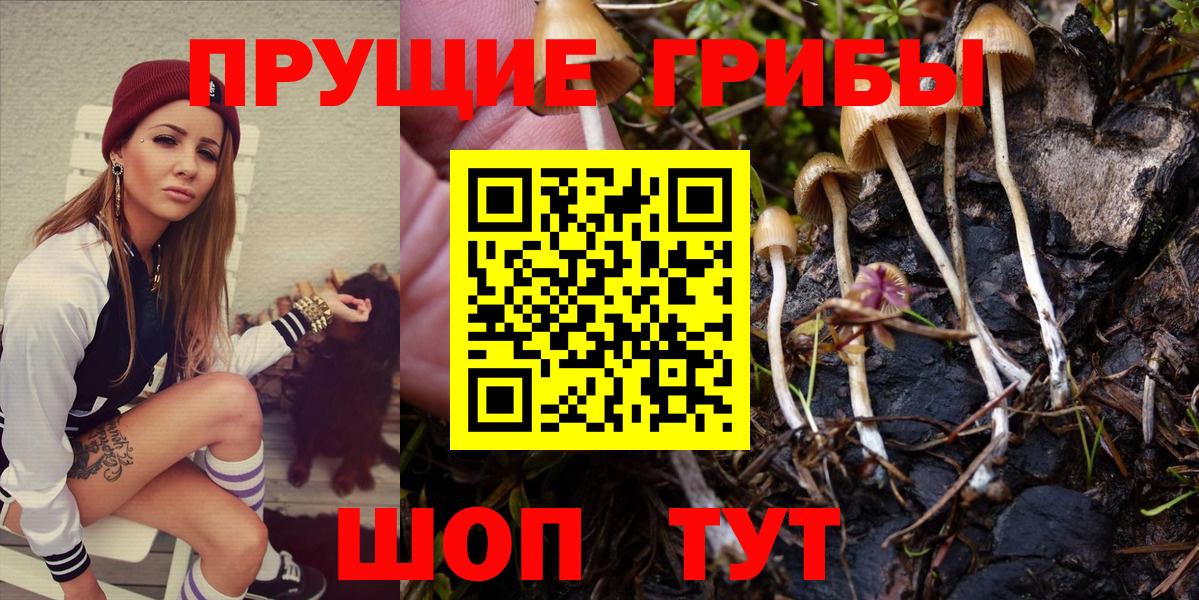 НБОМе  Вход с VPN  Кокаин  Дедовск  Альфа ПВП СОЛЬ кристаллы  Магазины продажи наркотиков  ГАШИШ  Меф МЯУ МЯУ кристаллы 