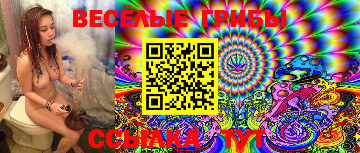 Псилоцибиновые грибы Magic Shrooms  Вход с VPN  Дедовск  Галлюциногенные грибы Magic Shrooms 